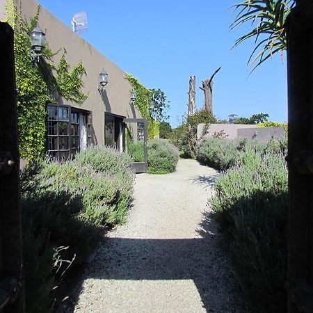 Plett River Lodge Плеттенберг-Бей Экстерьер фото